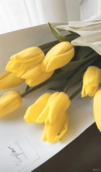  پس زمینه زرد پاستلی