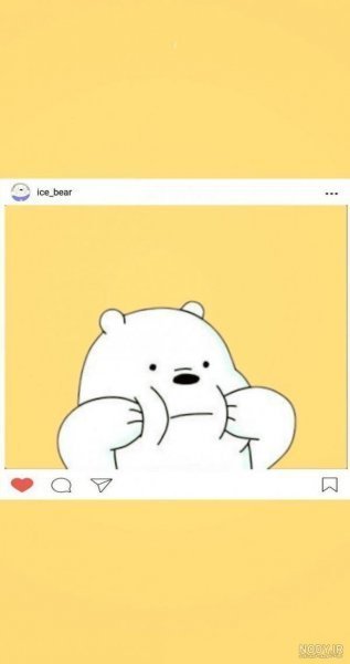  بک گراند زرد کره ای