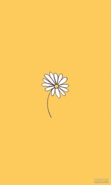  بک گراند زرد کره ای