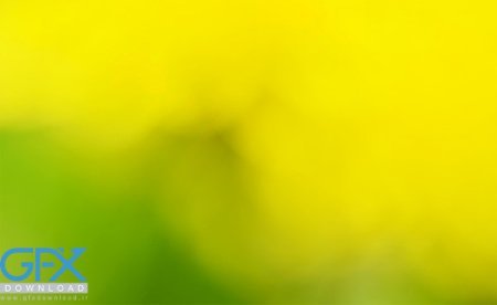  بک گراند رنگ زرد زیبا برای پس زمینه گوشی