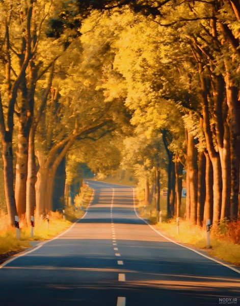  عکس جاده در شب رمانتیک با کیفیت عالی برای کامپیوتر