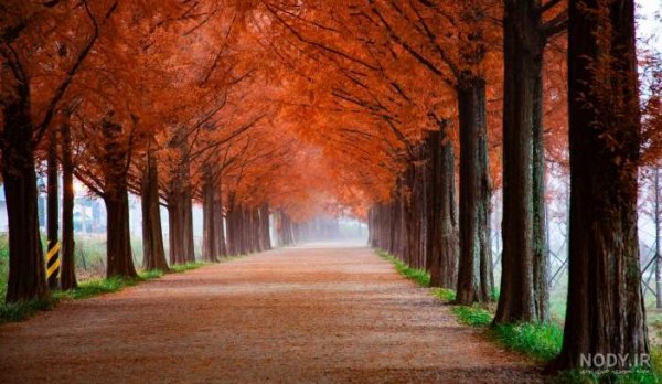  عکس جاده در شب رمانتیک با کیفیت عالی برای کامپیوتر