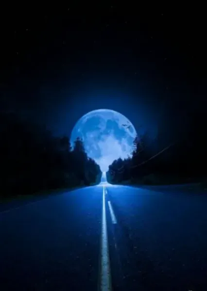  عکس جاده در شب داخل ماشین