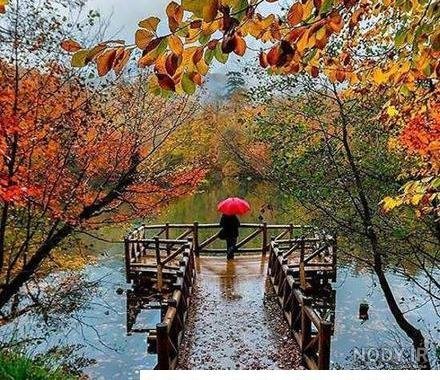  عکس شمال واقعی