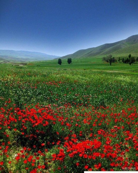  عکس شمال واقعی