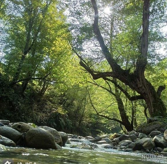  عکس شمال واقعی