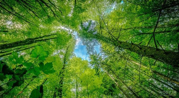  عکس شهر شمال جدید با کیفیت بالا