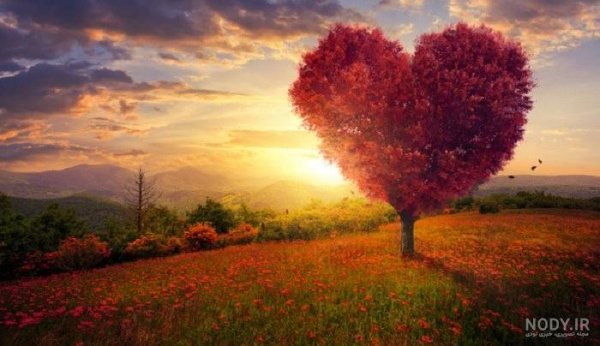  عکس منظره رمانتیک و لاکچری برای پس زمینه