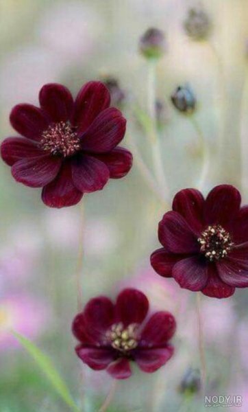  عکس منظره رمانتیک و لاکچری برای پس زمینه