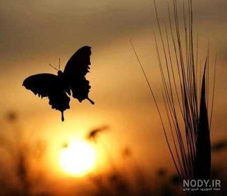  عکس منظره رمانتیک و لاکچری برای پس زمینه