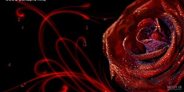  تصاویر سه بعدی برای گوشی