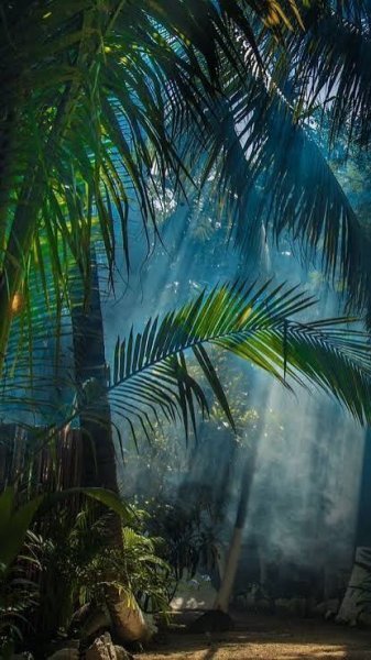  بک گراند سبز رنگ با کیفیت بالا برای گوشی
