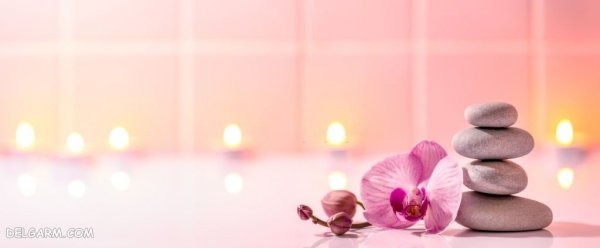  عکس پروفایل گل های ارکیده برای واتساپ و تلگرام