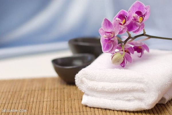  عکس پروفایل گل های ارکیده برای واتساپ و تلگرام