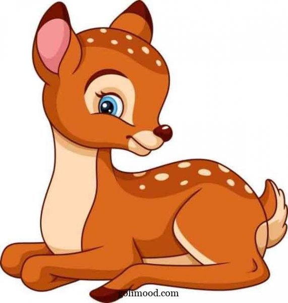  عکس آهو نقاشی