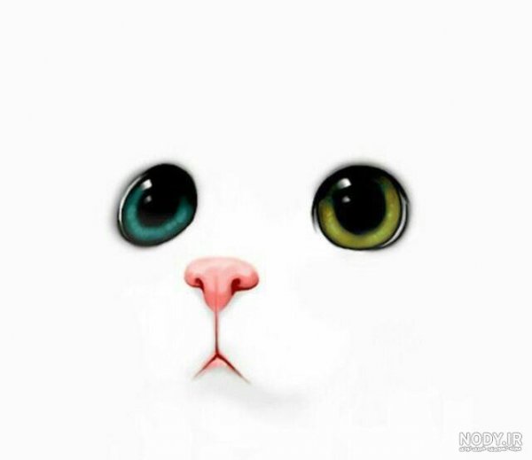  دانلود عکس گربه سفید با مزه و کیوت