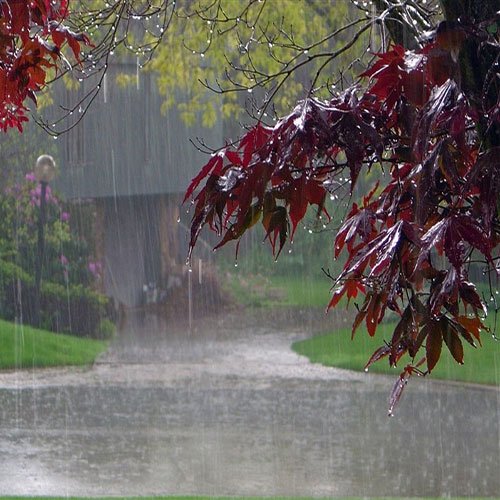  عکس پروفایل دخترونه شیک و لاکچری در باران