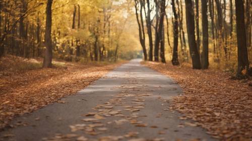  والپیپرهای زیبا و رایگان برای گوشی آیفون