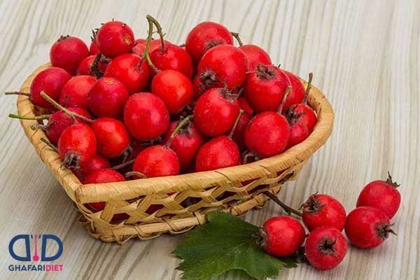  عکس درخت میوه زالزالک با کیفیت