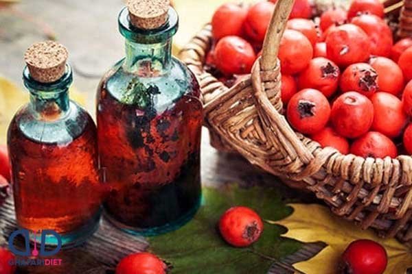  عکس درخت میوه زالزالک با کیفیت