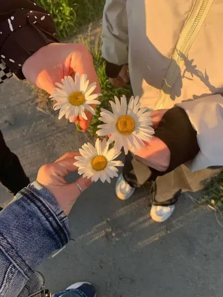  عکس ۵ نفره برای گروه