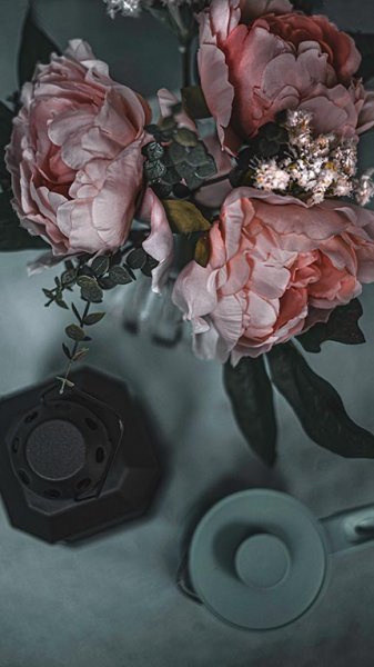 دانلود تصاویر با کیفیت بالا برای والپیپر موبایل