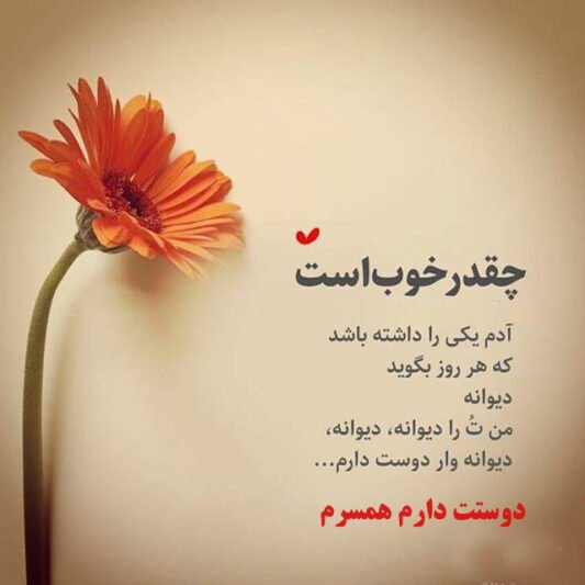  عکس دوستت دارم عزیزم