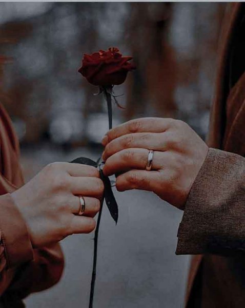  عکس عاشقانه پروفایل 2026