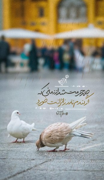  عکس نوشته حرم امام رضا برای استوری