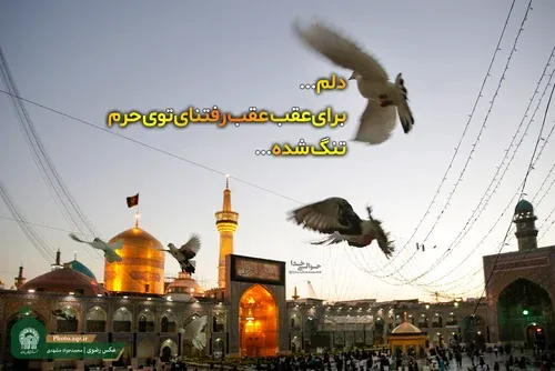  عکس نوشته حرم امام رضا برای استوری
