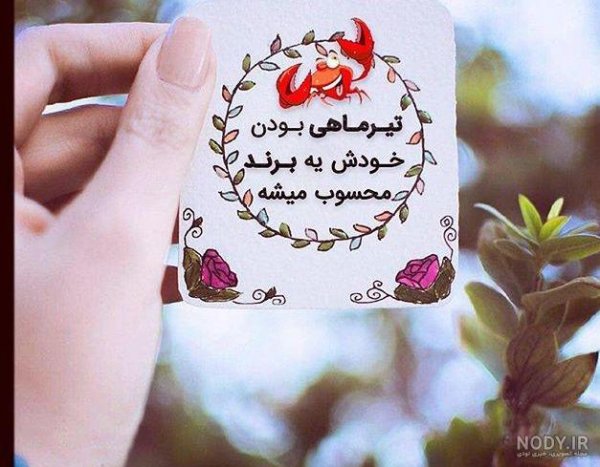  عکس پروفایل برای دختر و پسر های تیر ماهی