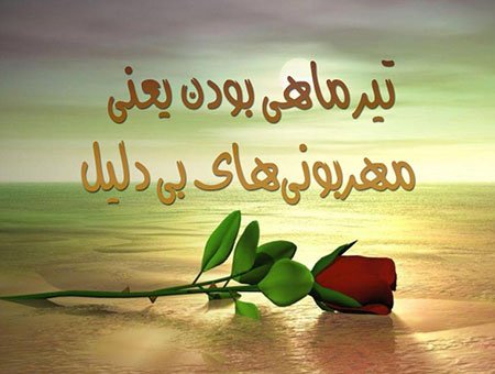  پروفایل تیر ماهی جدید