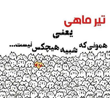  پروفایل تیر ماهی جدید