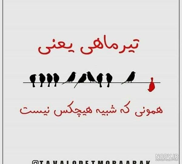  عکس پسر تیر ماهی