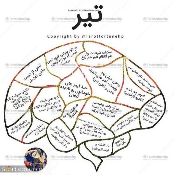 عکس تیر ماهی دختر
