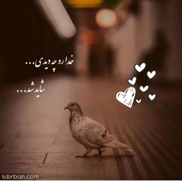 عکس نوشته های مفهومی و سنگین کوتاه