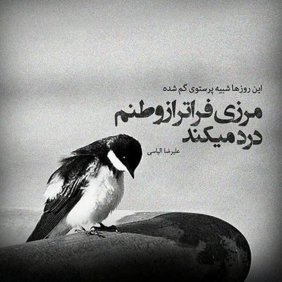 عکس بی معرفتی جدید