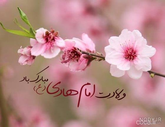  عکس ولادت امام علی النقی الهادی