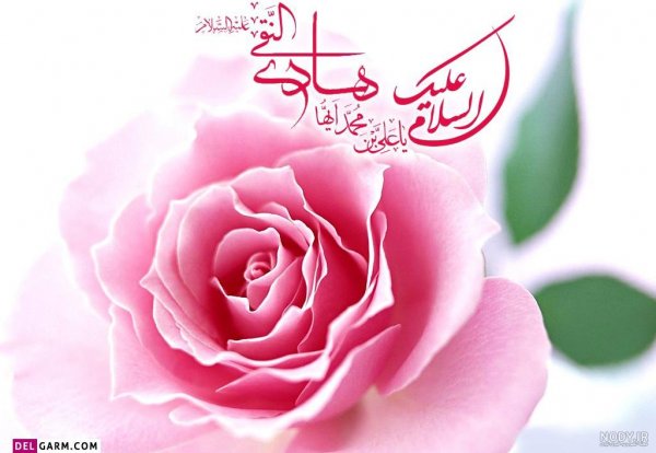  عکس ولادت امام علی النقی الهادی
