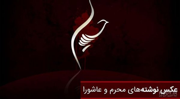  عکس عاشورای حسینی