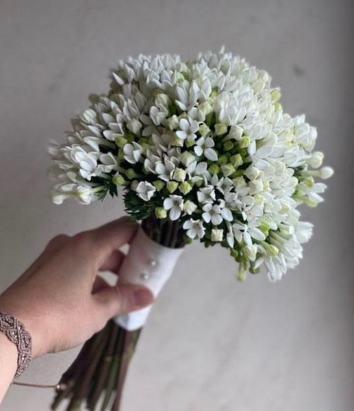  عکس دسته گل عروس ۲۰۲۶