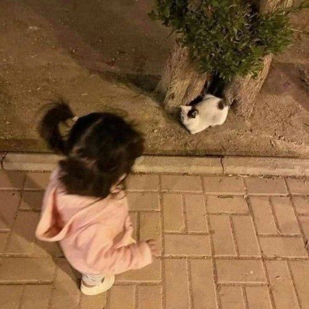 عکس پروفایل دختر بچه ناز و خوشگل