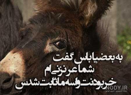  دانلود عکس نوشته های تیکه دار و کوبنده جدید