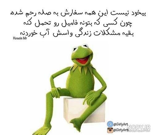  عکس نوشته تیکه دار به فامیل