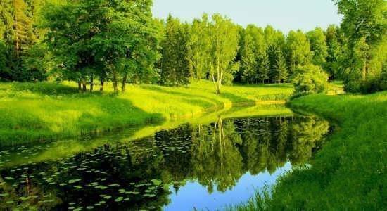  عکس پروفایل تابستانه جدید 1405