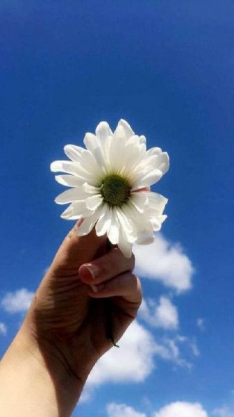  عکس پروفایل تابستانه جدید 1405