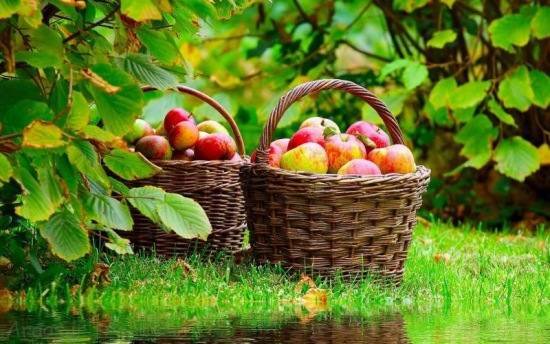  عکس تابستان برای پروفایل واتساپ