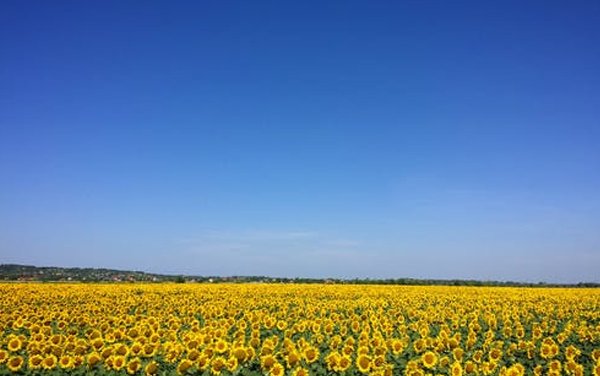  عکس تابستان فانتزی
