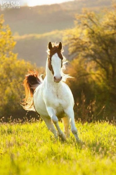  عکس تابستانی برای پروفایل
