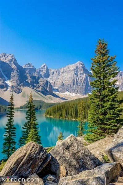  عکس تابستان زیبا